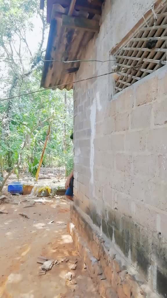 @jayakumar