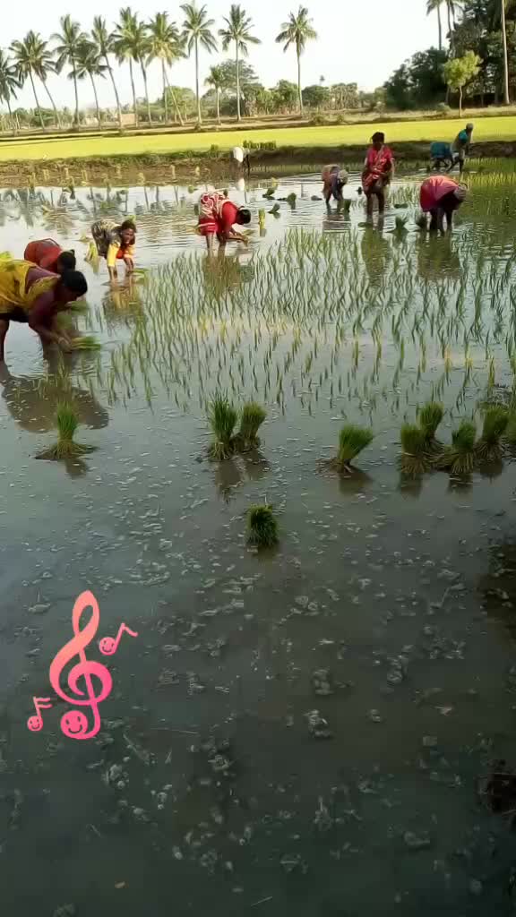 @Kumaravel