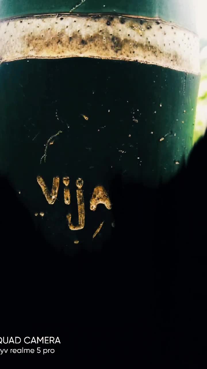 @vijay Bsc'cs'& work