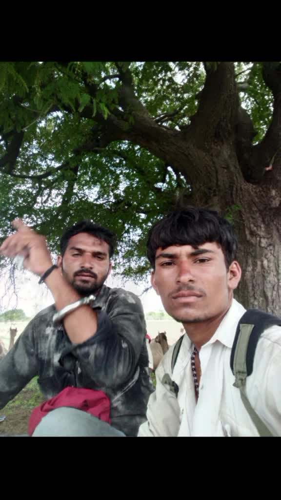 @user184616690944