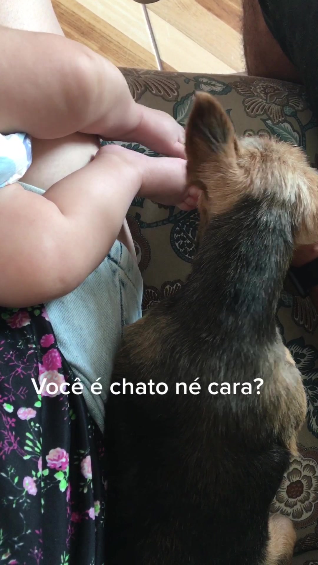 @Raquel Harazin