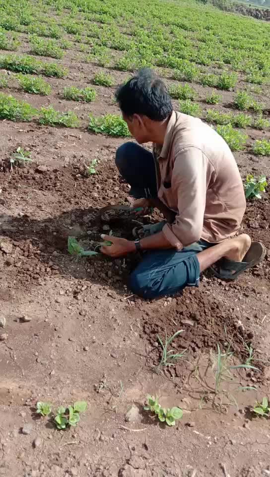 @bhavy kyada
