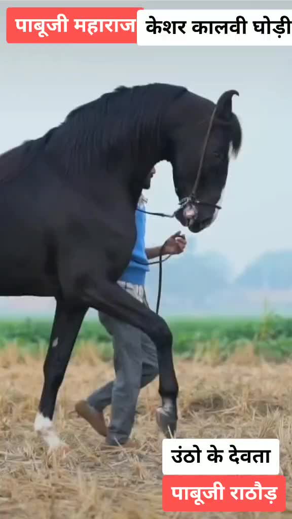 @ds_rajput _0007