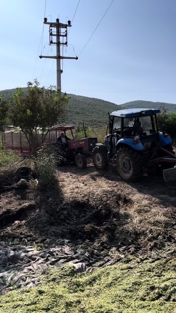 @Mehmet Bağrıyanık