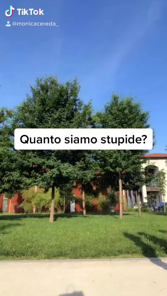 @milenacianfarini