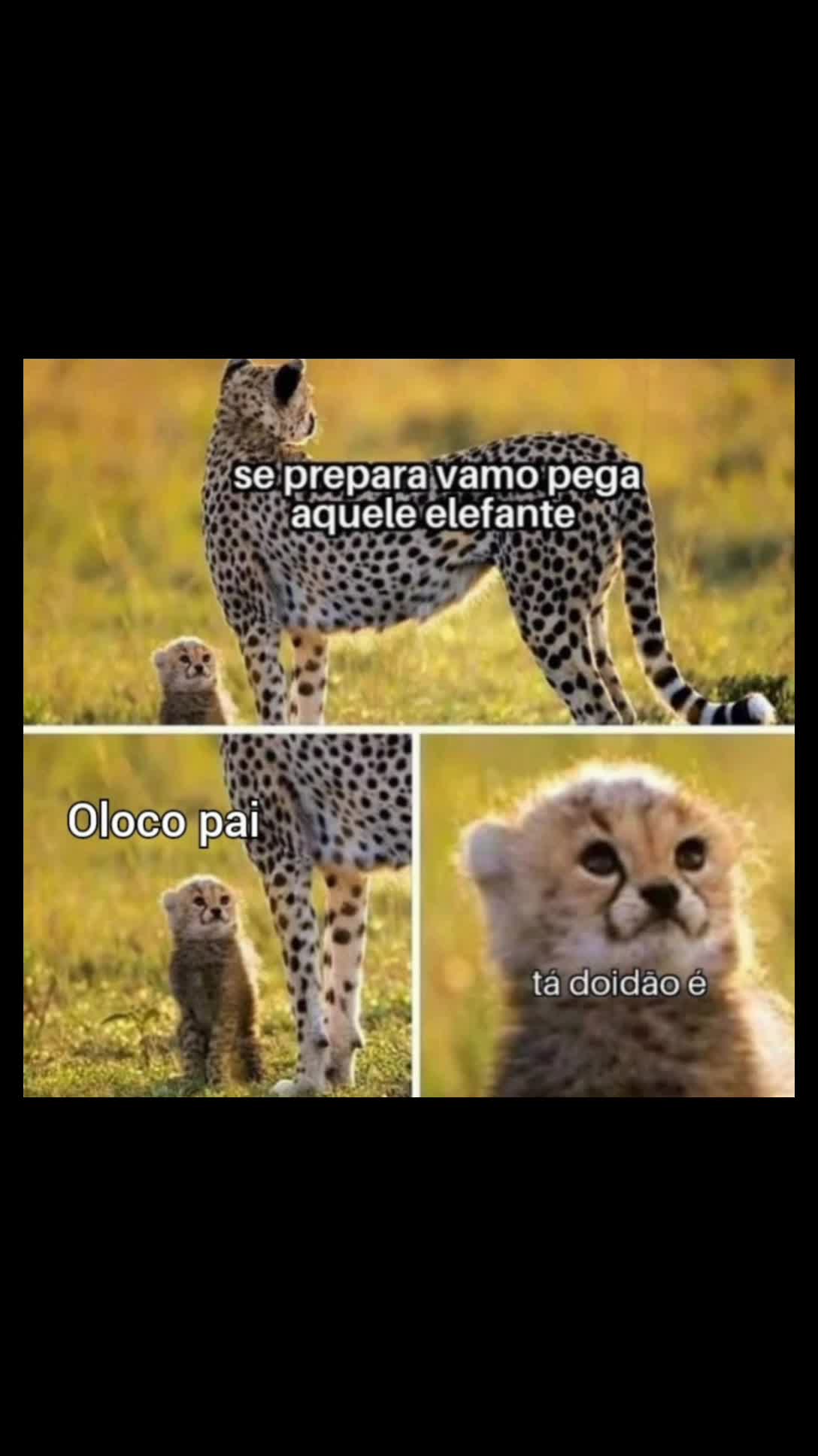 @Canalesco