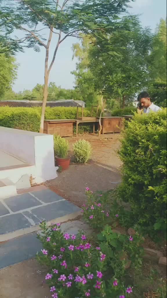 @dk9011