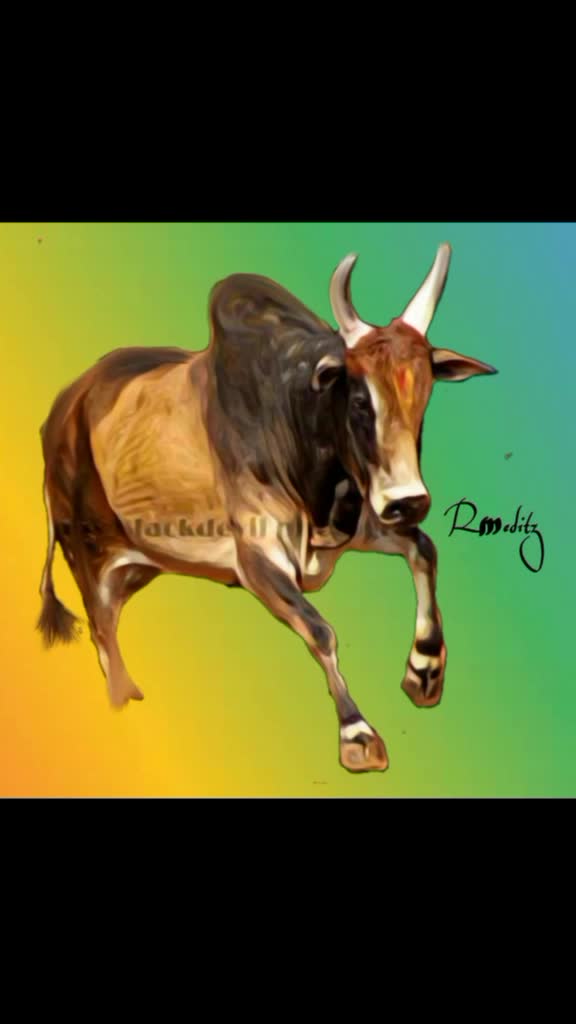 @ரஞ்சித்அய்யனார்குளம்
