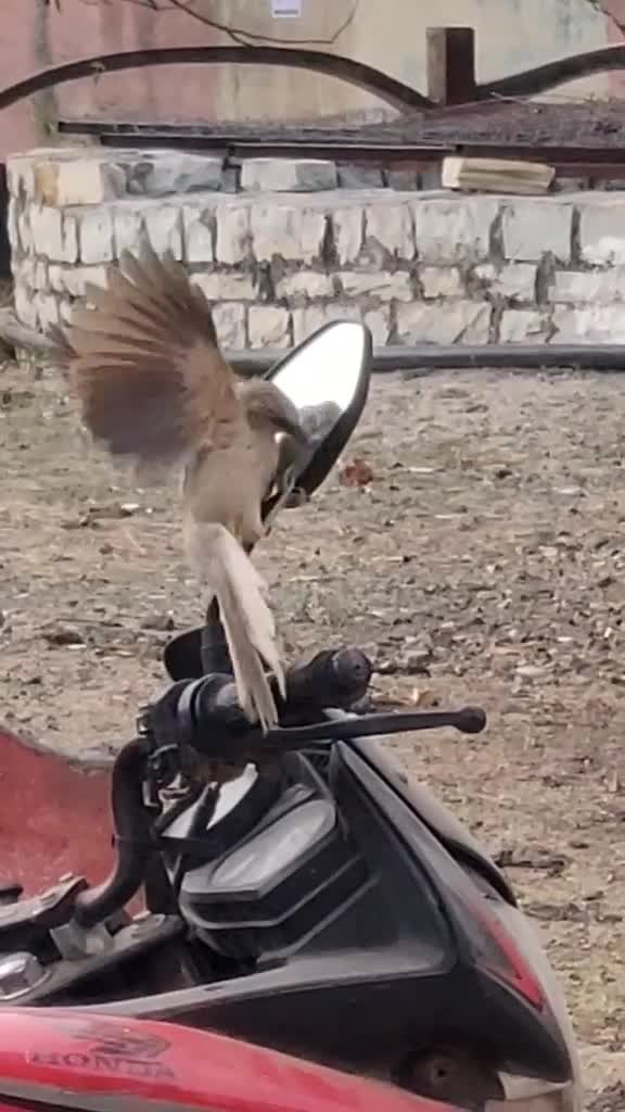 @tarunpurohit0099