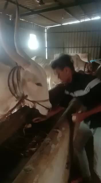 @👑 सोन्या पानसरे 👑
