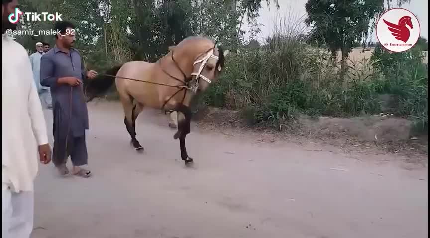 @Samir_Malek
