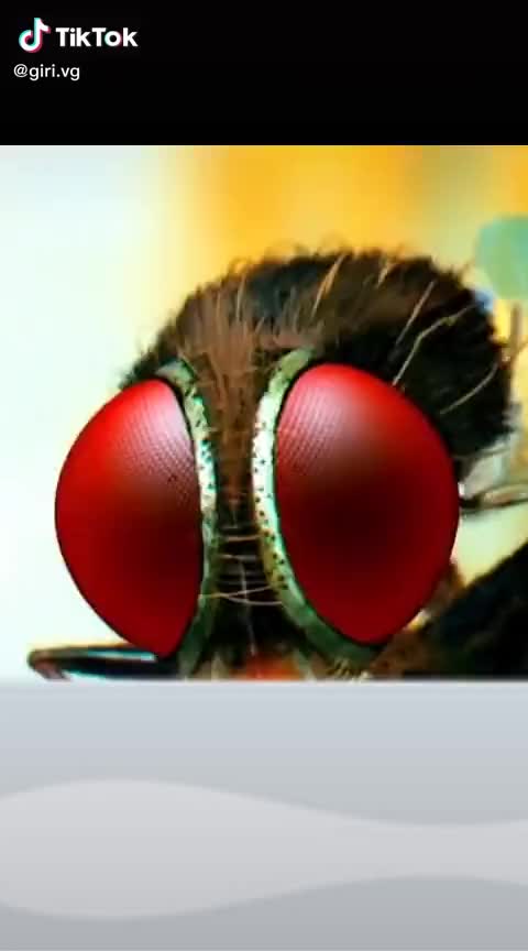 @user3924333226353