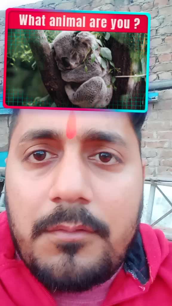 @विशाल भूमि पुत्र
