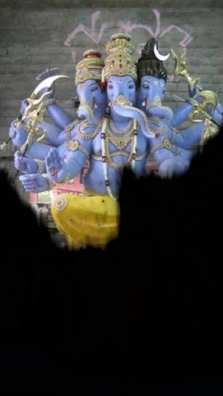 @VIGNHARTA