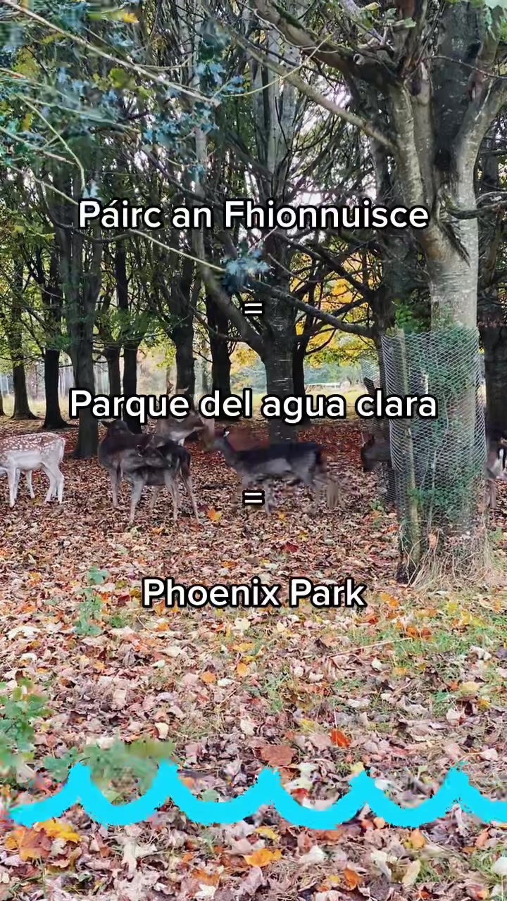 @Mexicana aprendiendo Irlandés