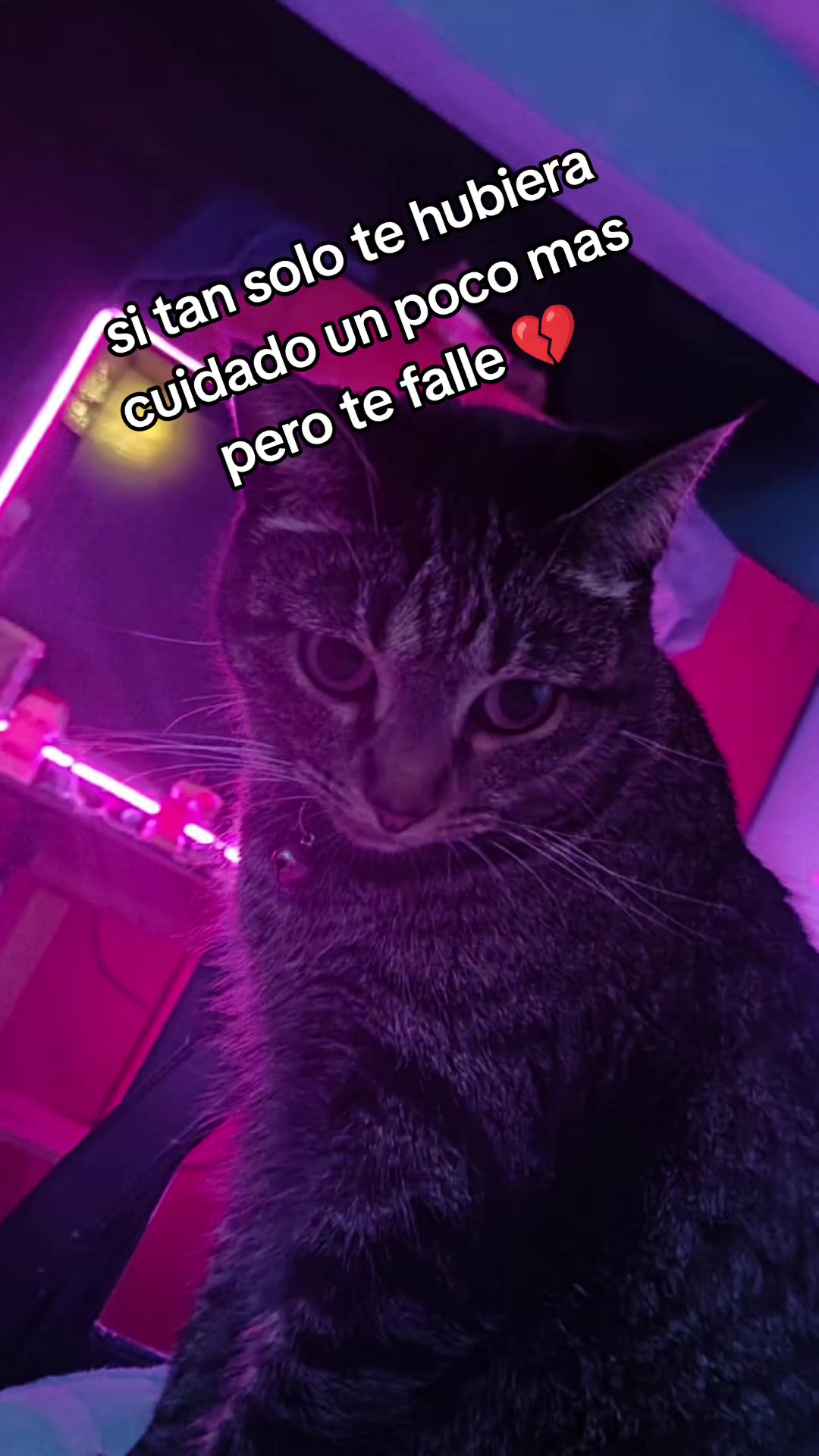 @YisusOL