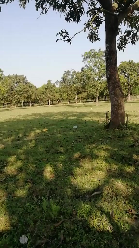 @Manoj Mandal