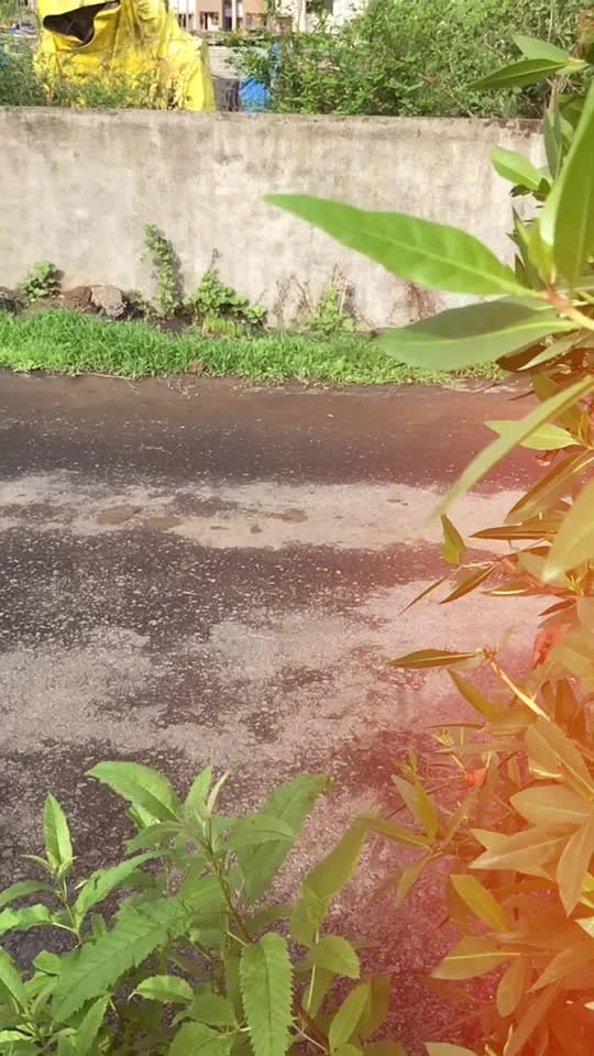@Krishna Vadhava