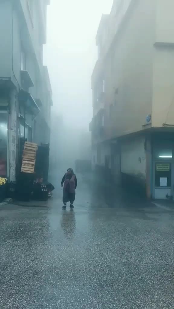 @ibrahim halil kaya