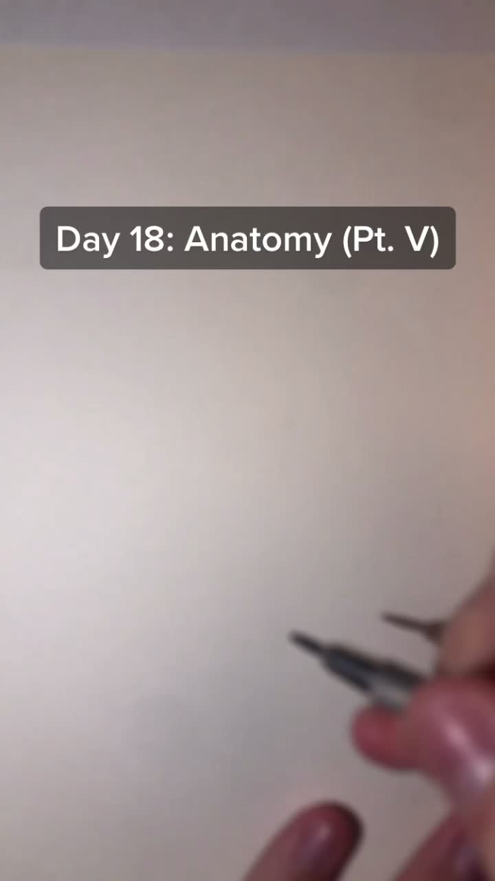 @lukasdrawsstuff