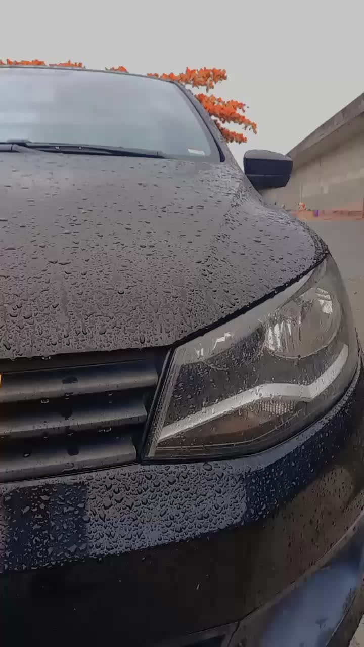 @Viih Machado813
