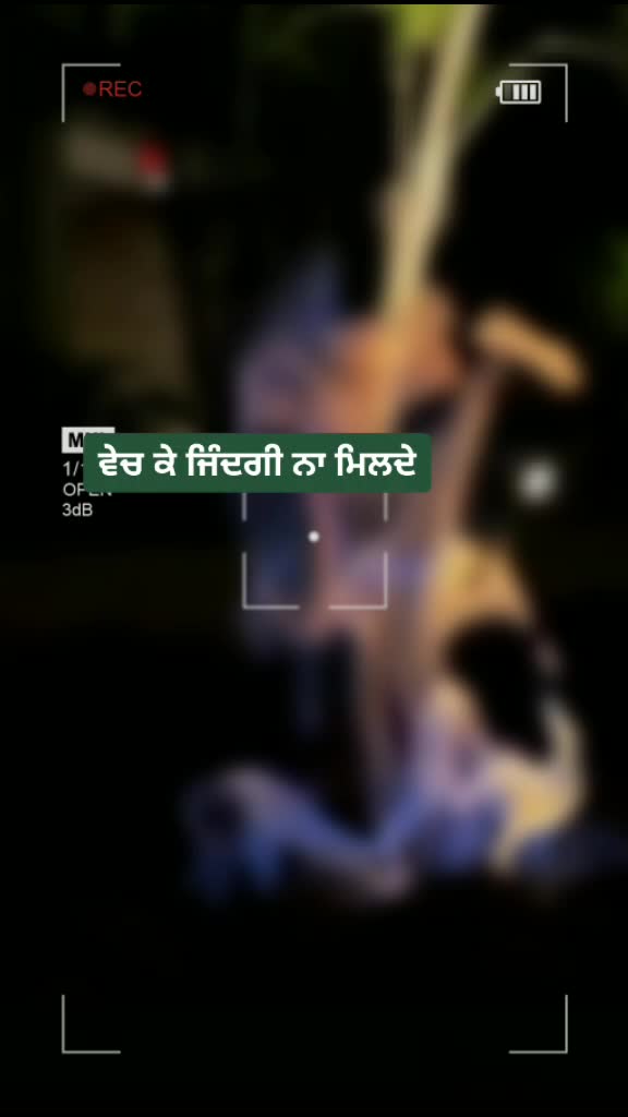 @user5877387029440
