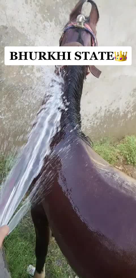 @Raj Mukhi