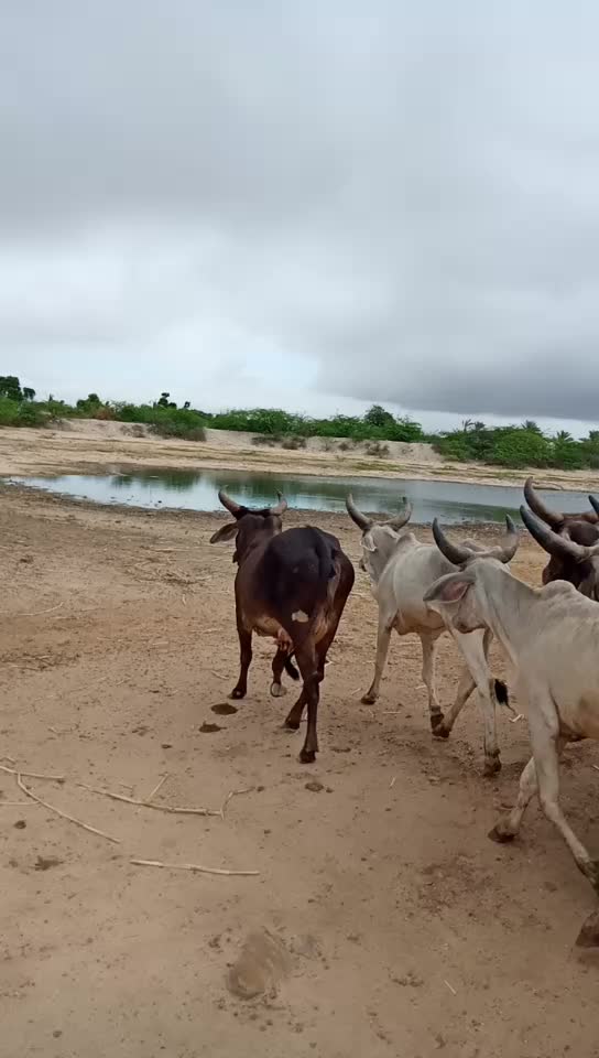 @Bhuro Thakor