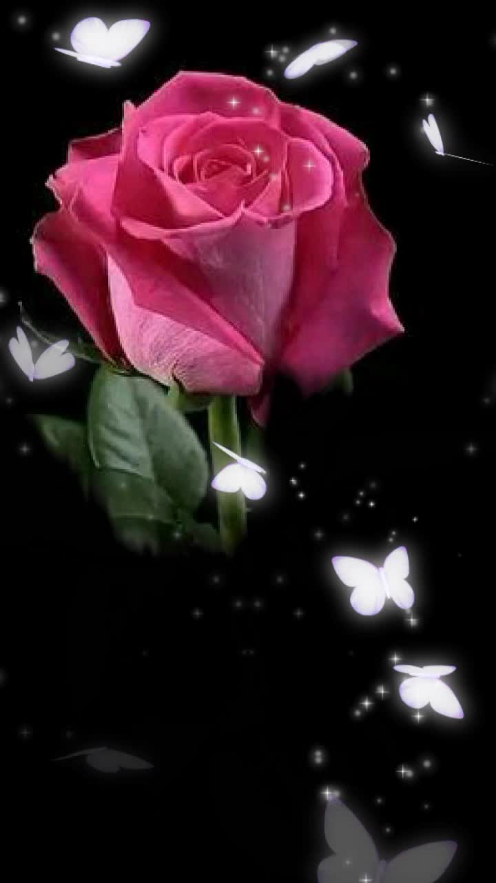 @Priya Kumari