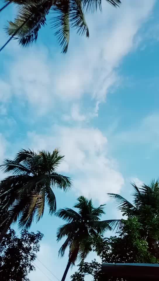 @UpamaBarman823