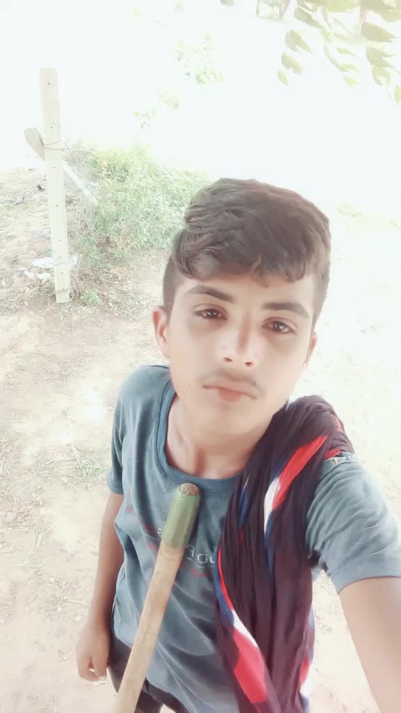 @🐄love of ગૌમાતા 🐄?