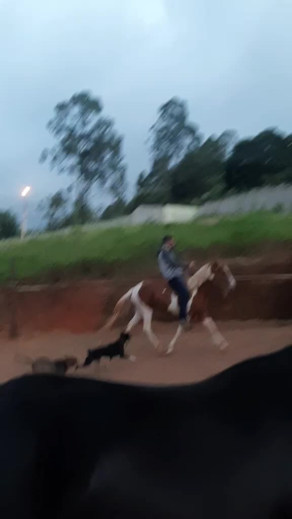 @Calebe Ferreira