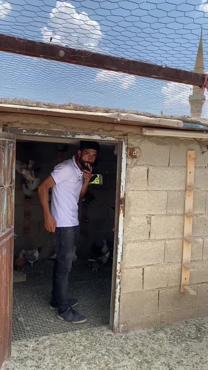 @Serdar kılıç