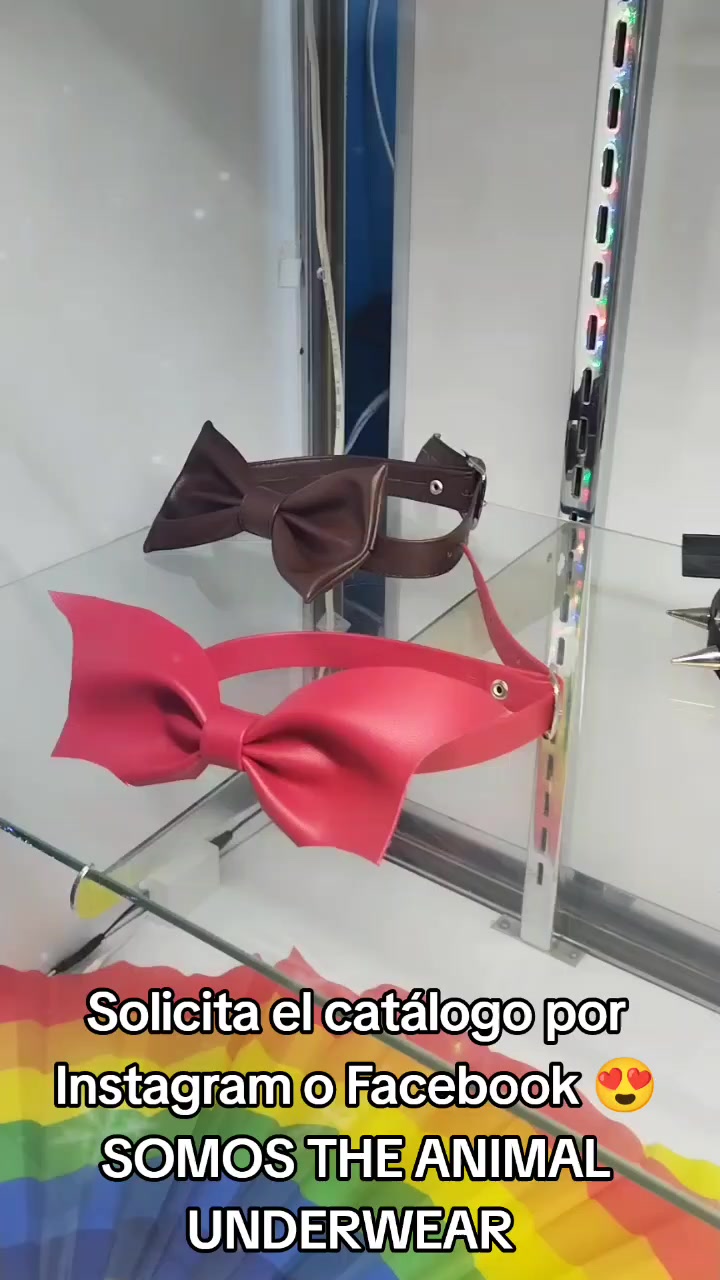 @The Animal Underwear Oficial