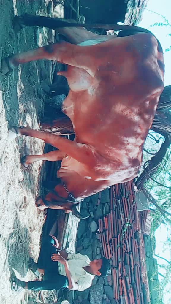 @Kalpesh Bhuva
