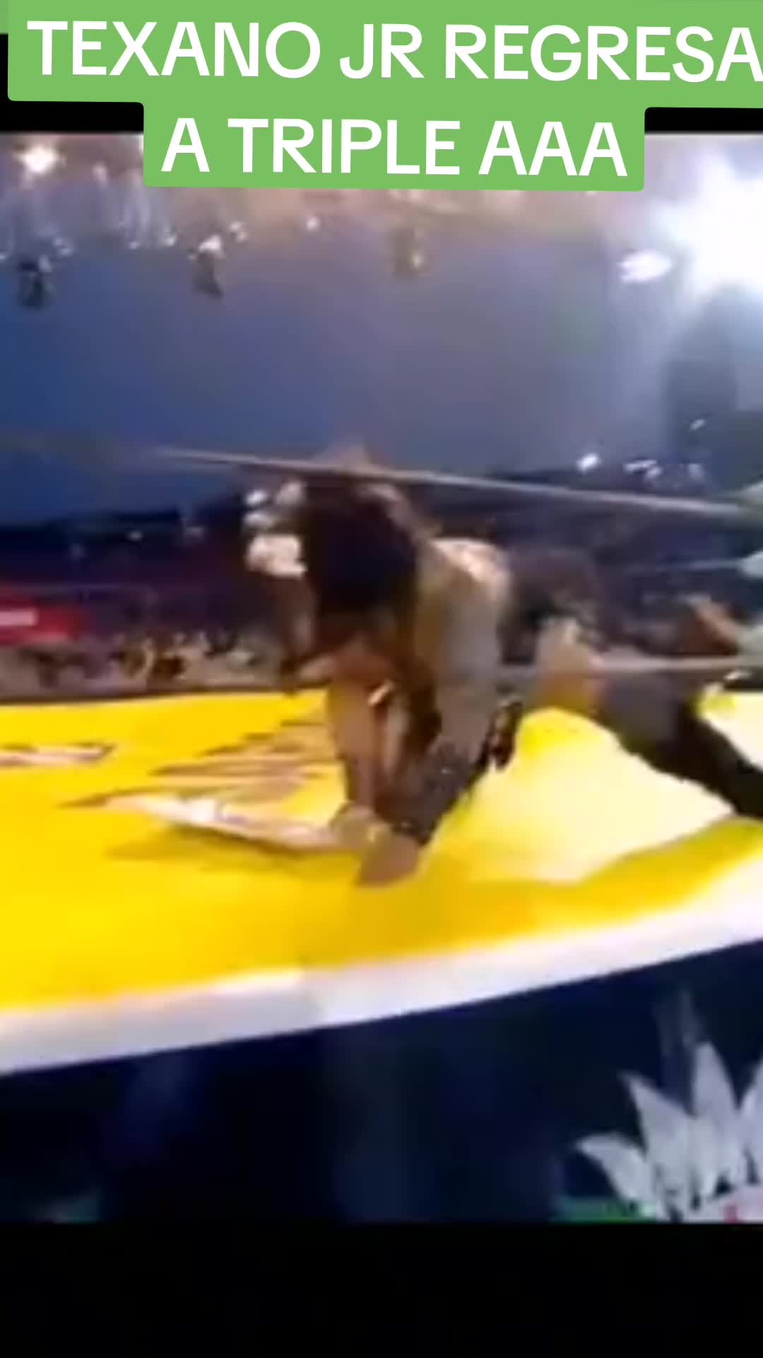 @luchas y m&aacute;s