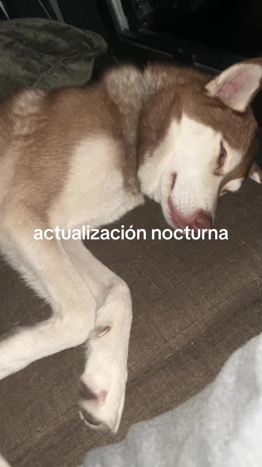 @Diego No&eacute;