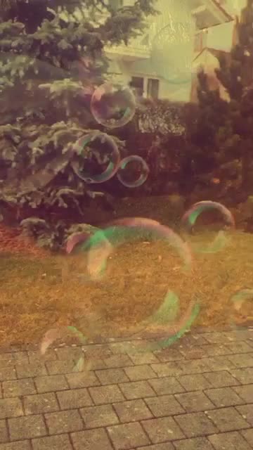 @Aesthetic_vibes_