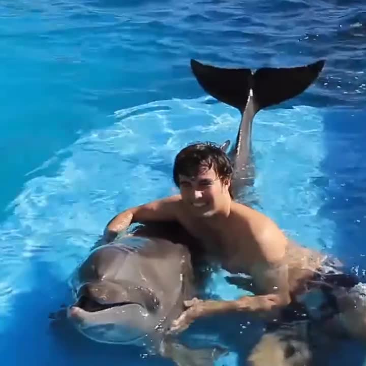 @schecolover