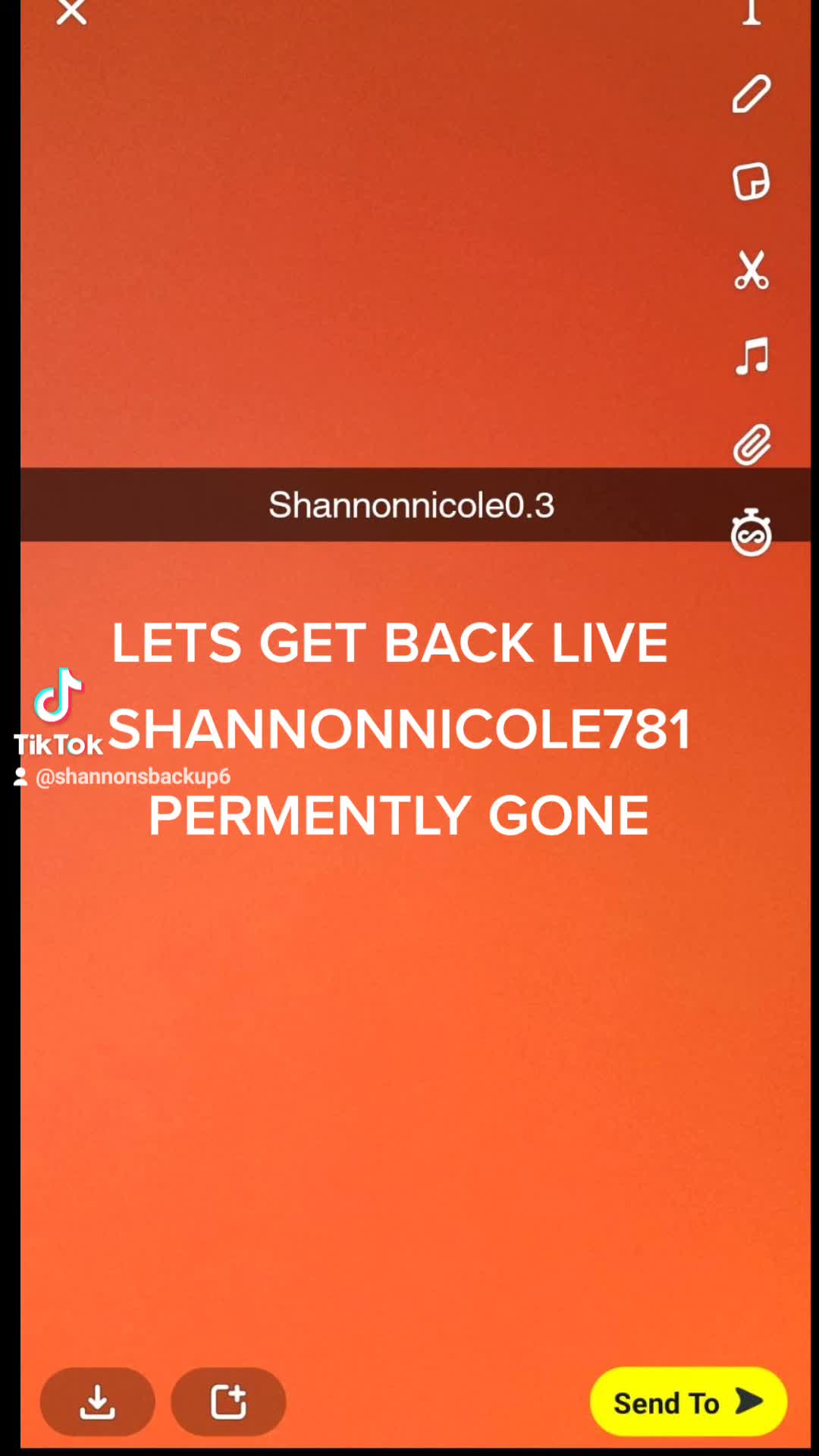 @shannonnicole781