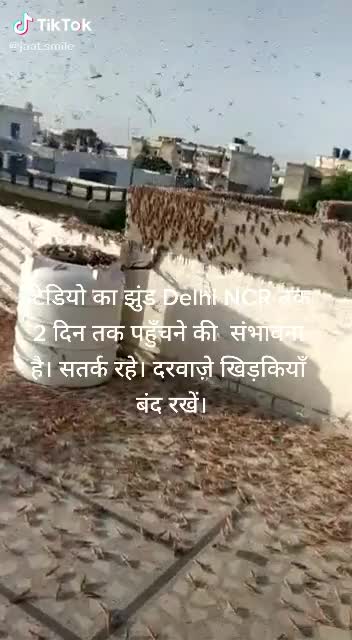 @Arun.Kumar.8696