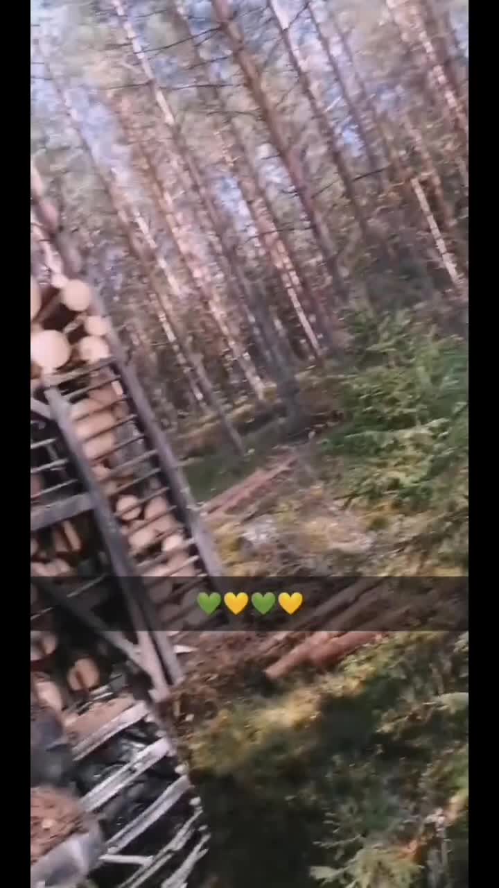 @Daniel Risberg