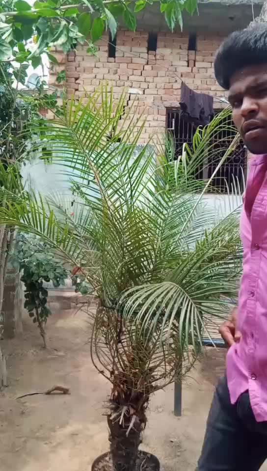 @sanju saude