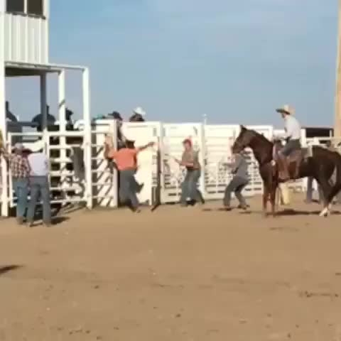@RodeoWrecksFanPage
