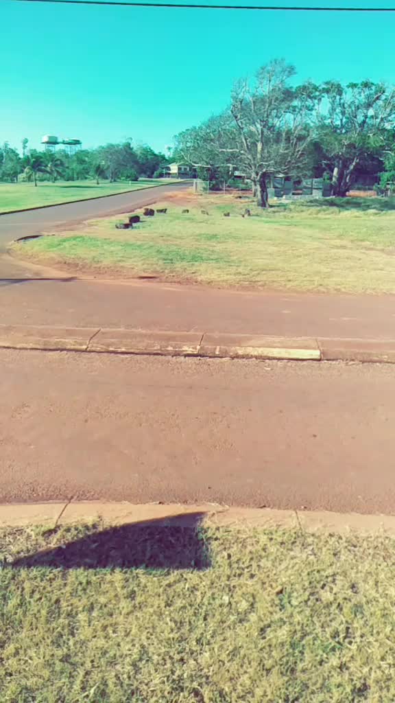 @TYG24