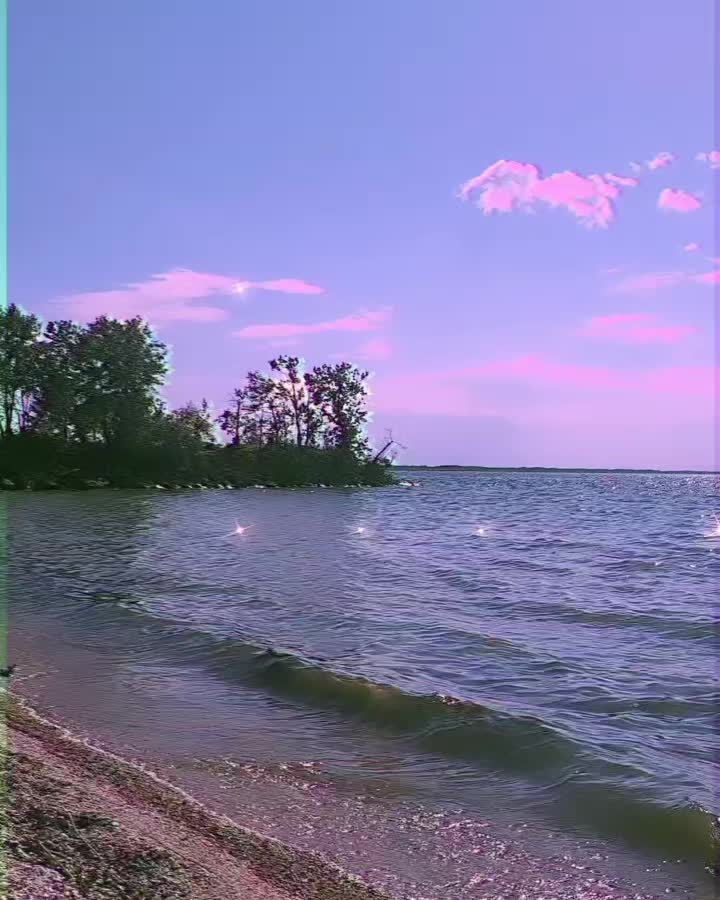 @Sumer Dawn Elk