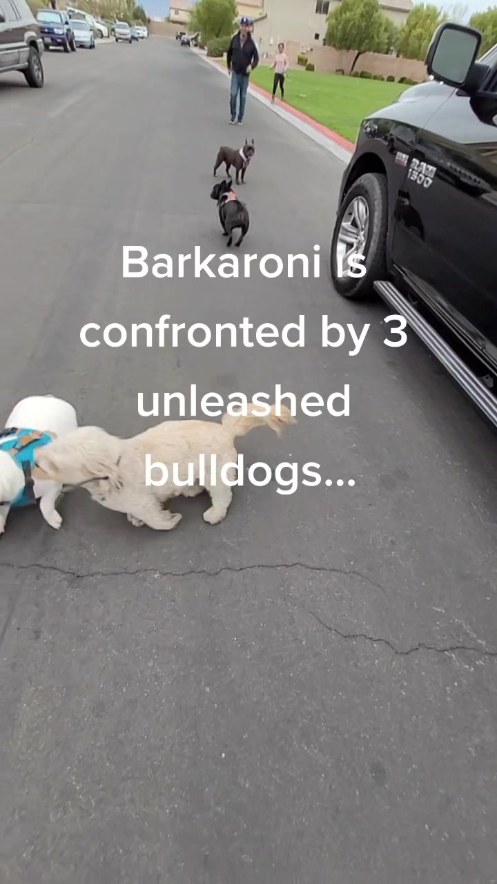 @robfalzone