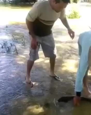 @Mauro Pedrini