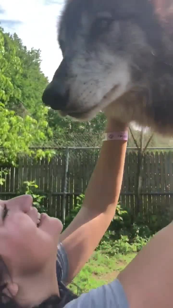 @Kristin DiDomenico