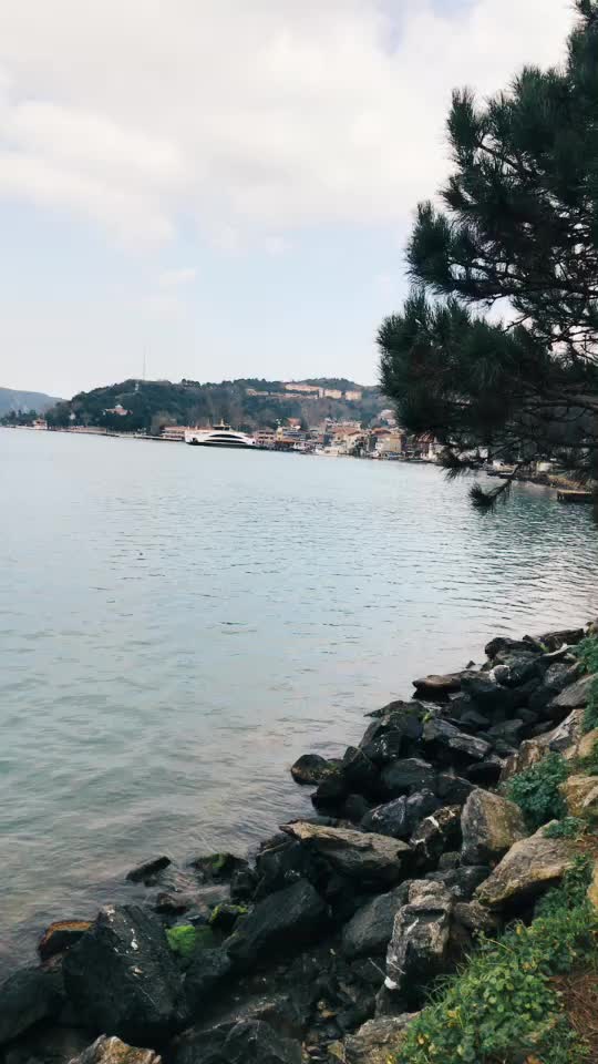 @Adnan Yal&ccedil;ın